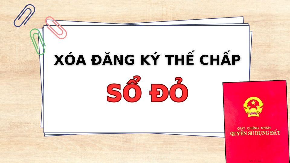 465262874 122115782078546270 6690784435605285558 N