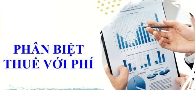 6 Tieu Chi Phan Biet Thue Voi Phi Va Le Phi De Hieu Nhat